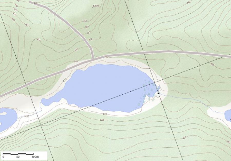 Topographical Map of Ayers Lake in Municipality of Kearney and the District of Parry Sound